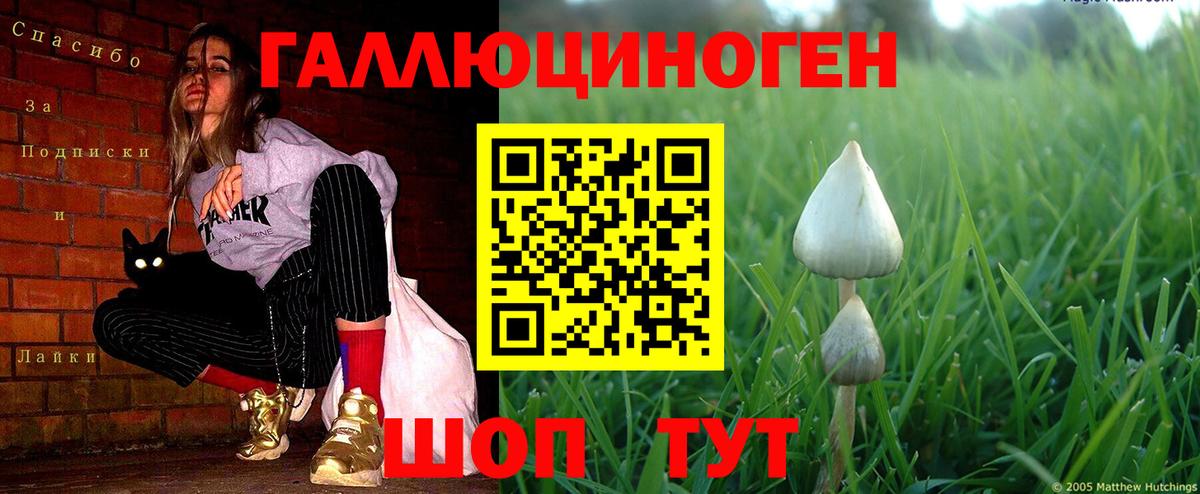 Муравленко  наркота  Вход с VPN  Псилоцибиновые грибы GOLDEN TEACHER 